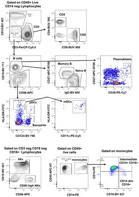 Preservation of functionality, immunophenotype, and recovery of HIV RNA from PBMCs cryopreserved for more than 20 years